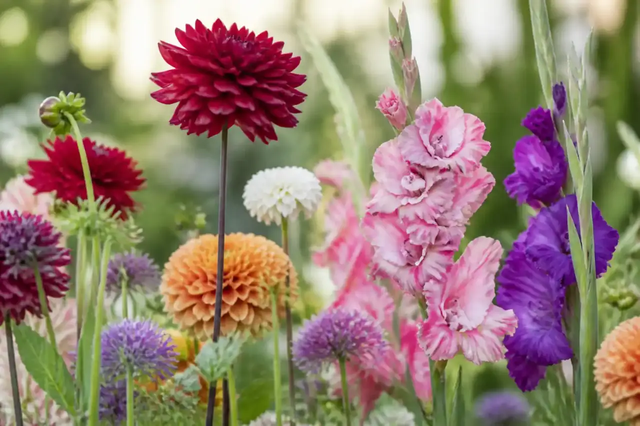 Fleurs à longue tige : les bonnes variétés pour bouquets ou massifs en hauteur